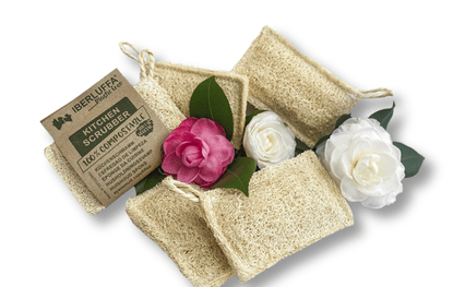 Estropajo natural para lavar platos, de Luffa, Esponjas orgánicas